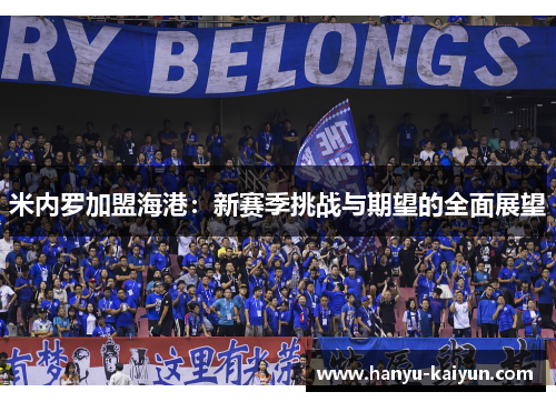 米内罗加盟海港：新赛季挑战与期望的全面展望